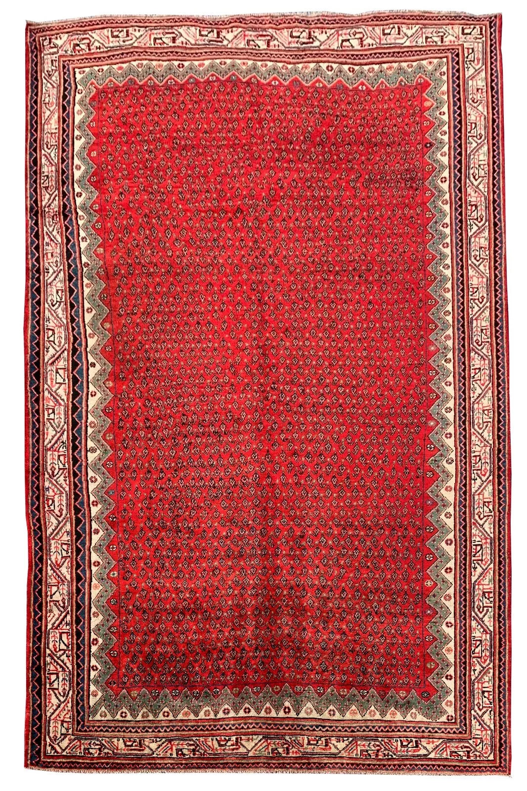 Badam Gul Mir Wool Area Rug Hand Knotted 11 x 7 Ft
