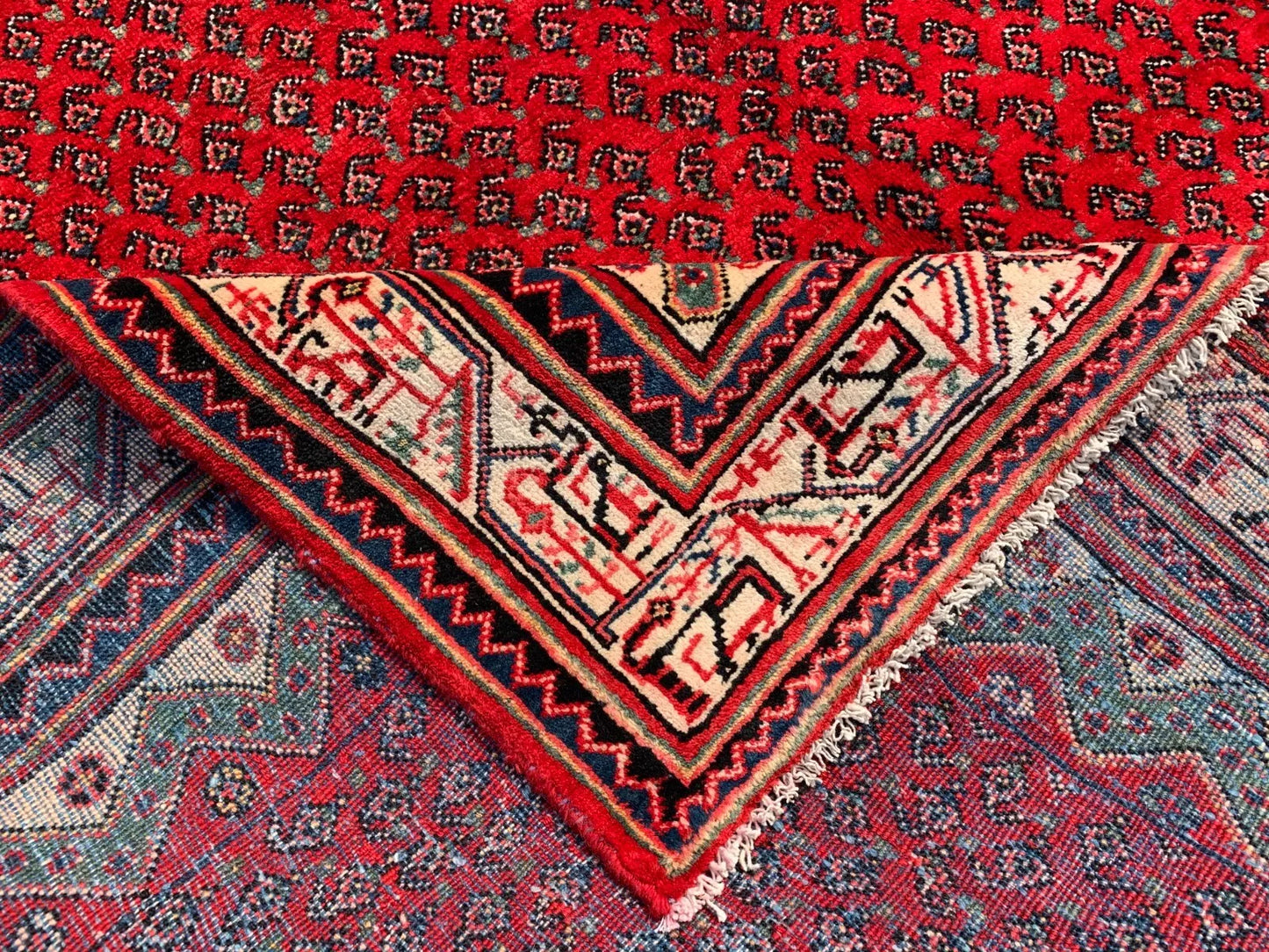 Badam Gul Mir Wool Area Rug Hand Knotted 11 x 7 Ft