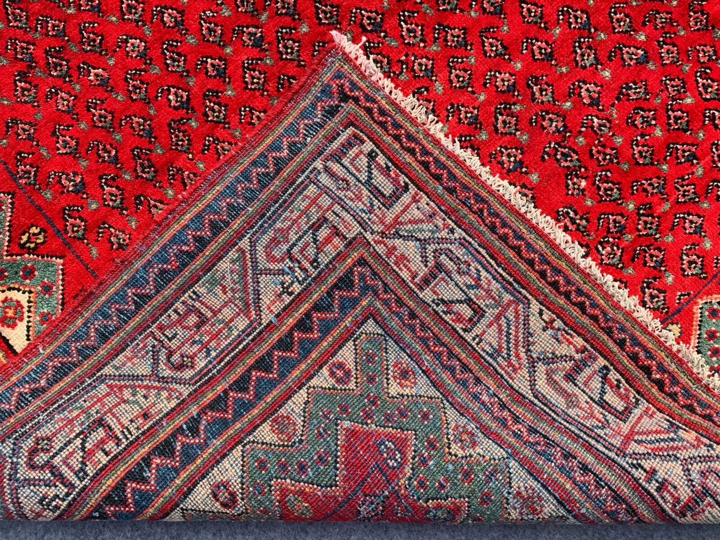 Badam Gul Mir Wool Area Rug Hand Knotted 11 x 7 Ft