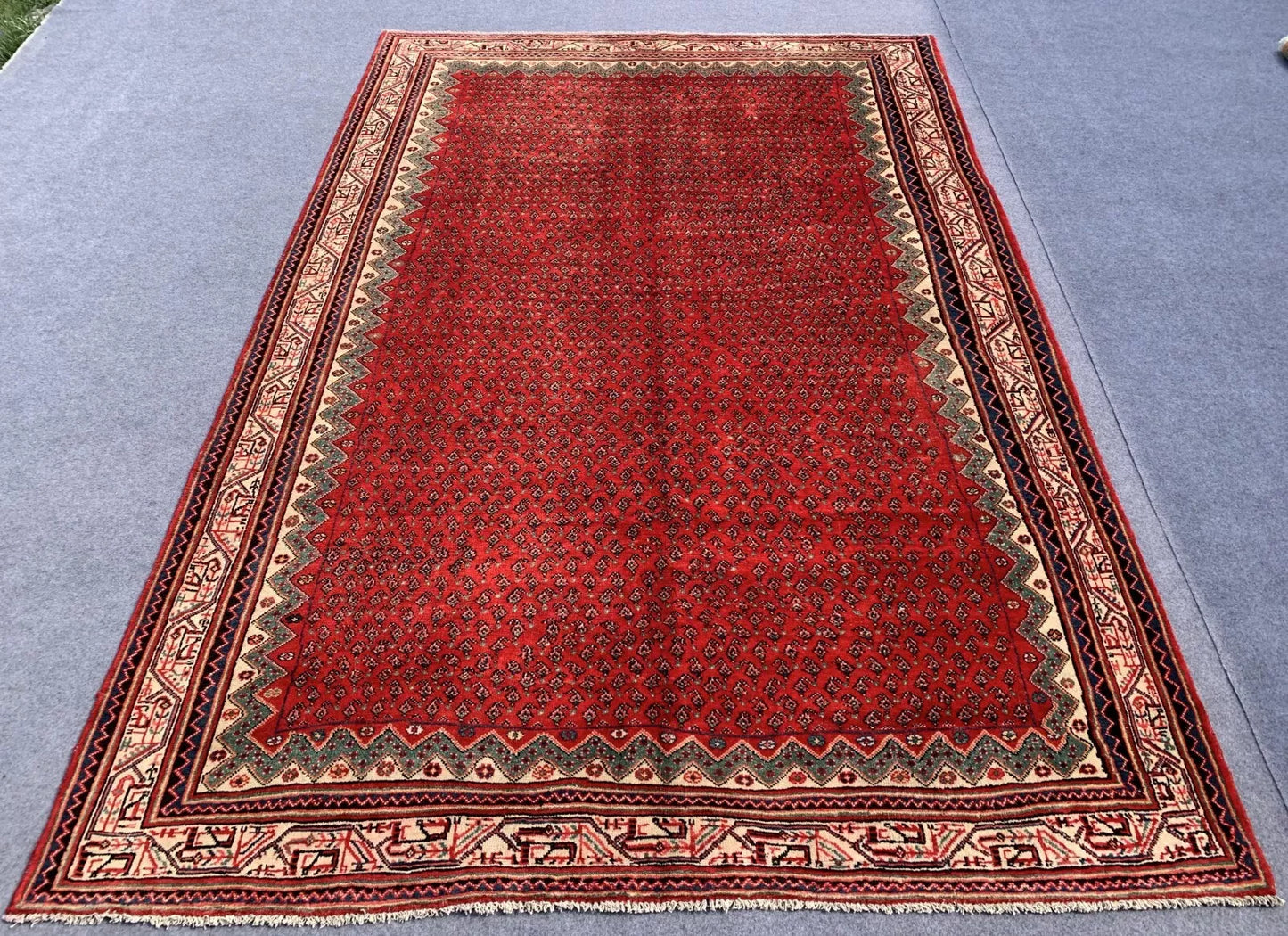 Badam Gul Mir Wool Area Rug Hand Knotted 11 x 7 Ft