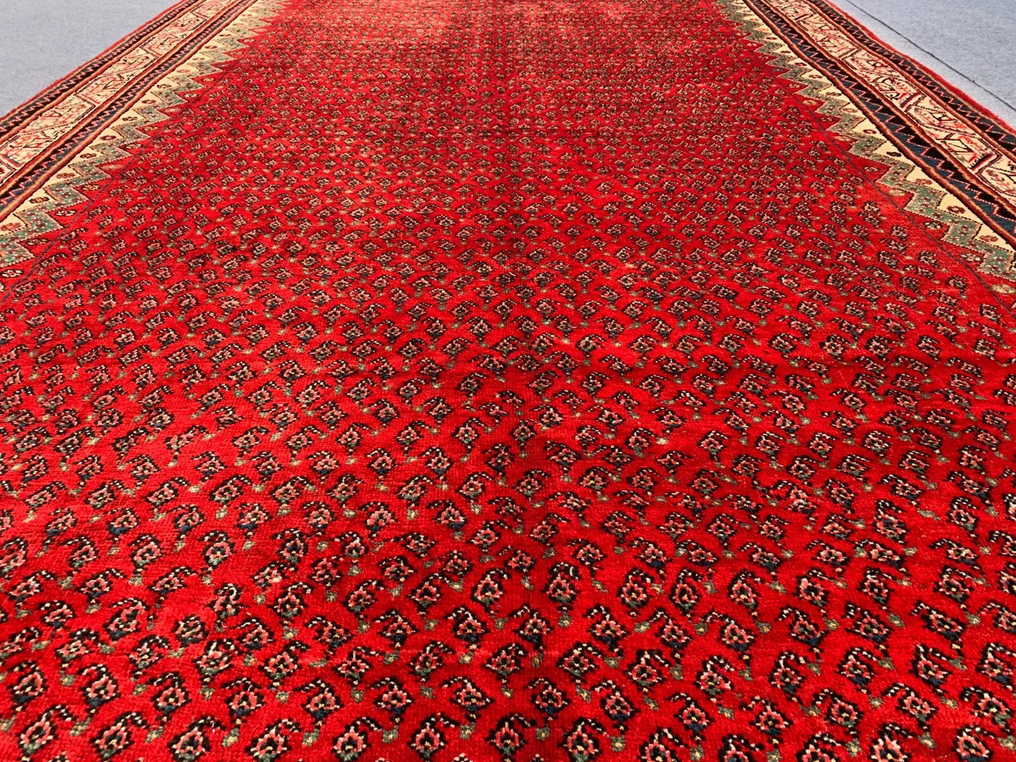 Badam Gul Mir Wool Area Rug Hand Knotted 11 x 7 Ft