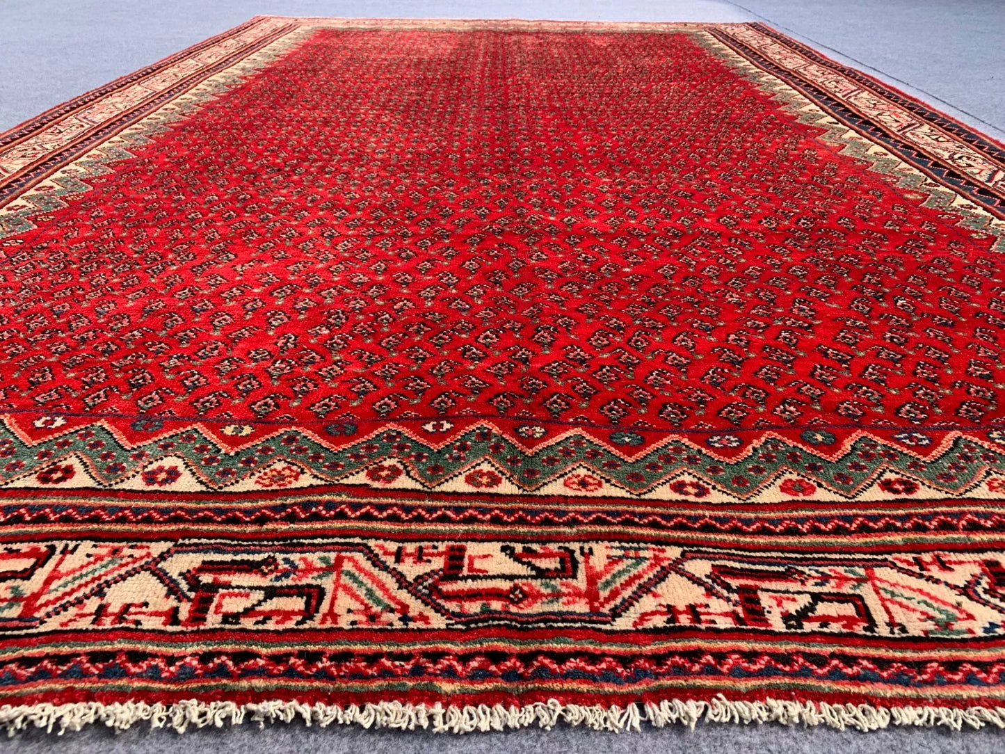 Badam Gul Mir Wool Area Rug Hand Knotted 11 x 7 Ft