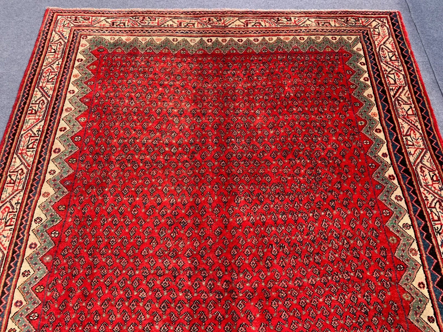 Badam Gul Mir Wool Area Rug Hand Knotted 11 x 7 Ft