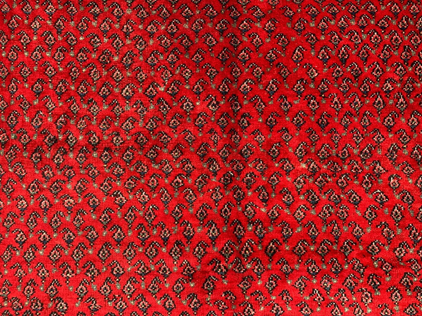 Badam Gul Mir Wool Area Rug Hand Knotted 11 x 7 Ft