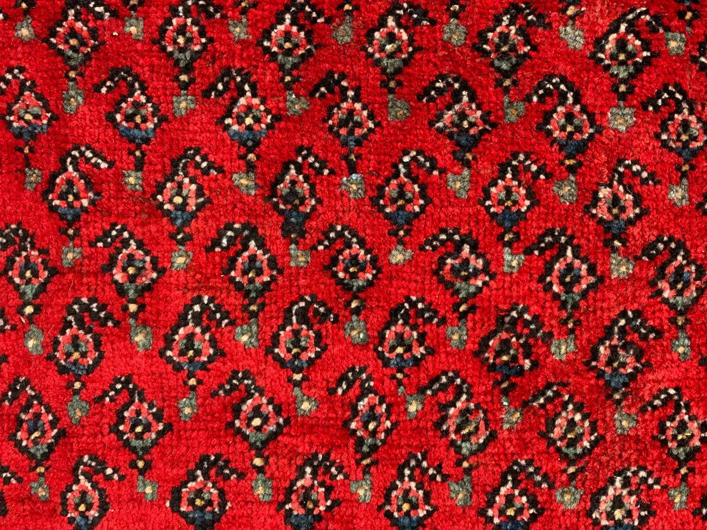Badam Gul Mir Wool Area Rug Hand Knotted 11 x 7 Ft